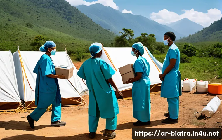 비아프라 전쟁과 국제 평화 유지 활동 관련 이미지 1