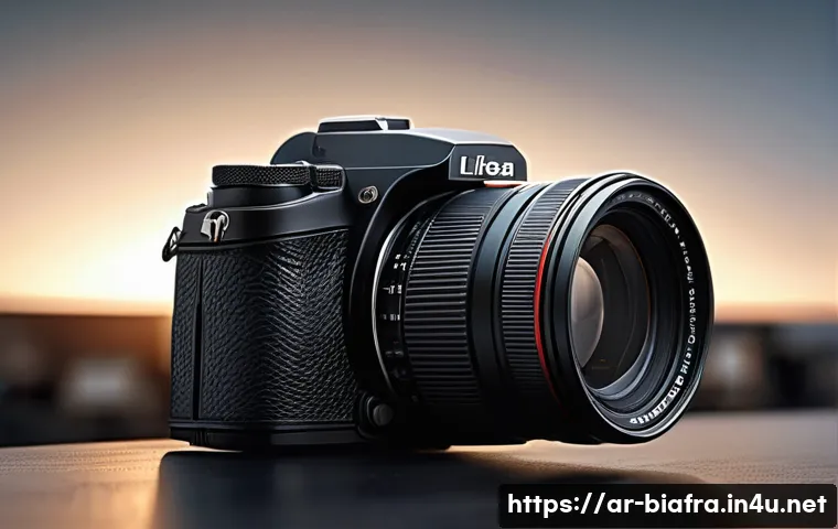 비아프라 전쟁의 교훈 관련 이미지 1